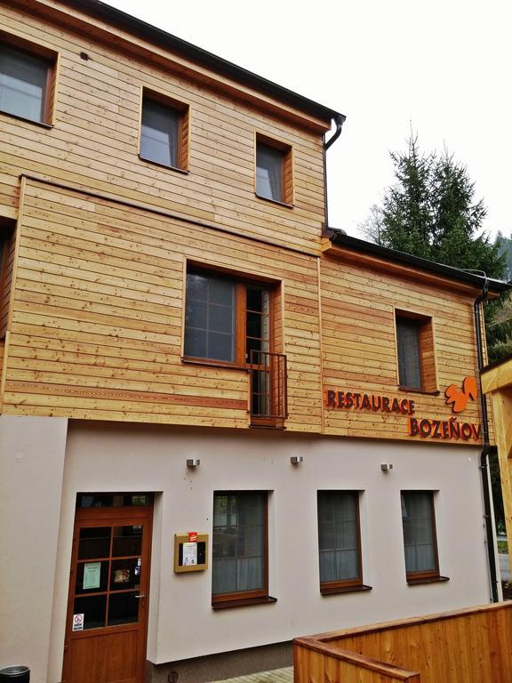 Wellness Hotel Bozenov Zábřeh Buitenkant foto